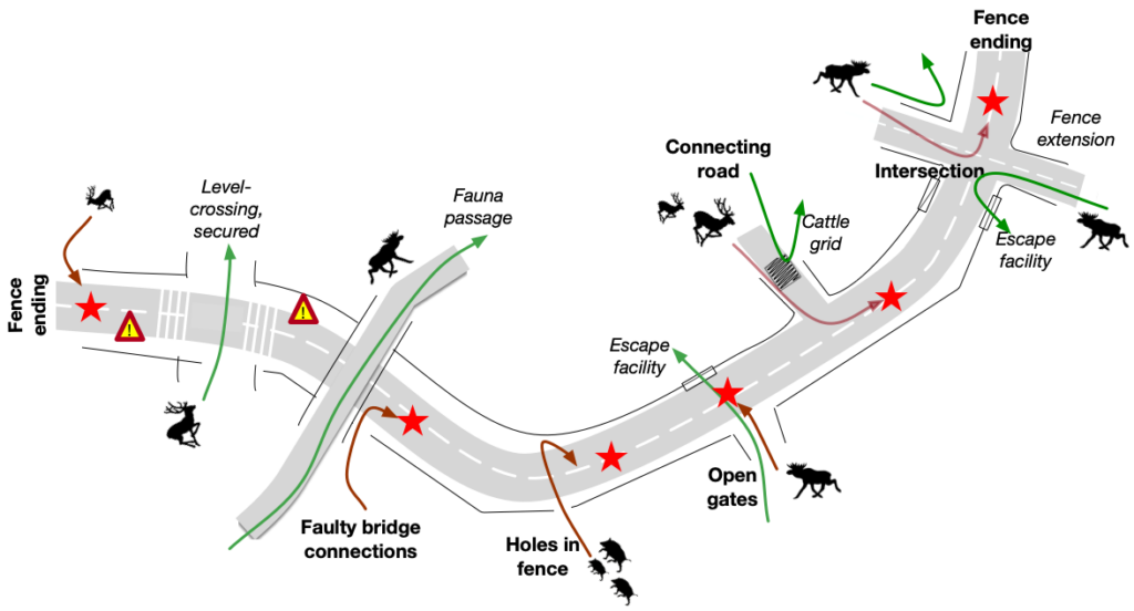 Safety gaps in wildlife fences and solutions